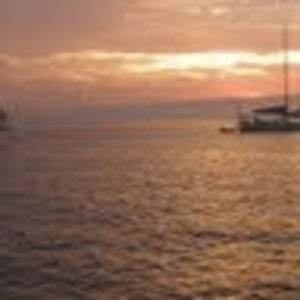 Meet your Posher, Nina